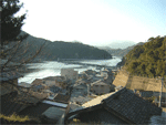 島勝大敷き小屋と魚見桜ハイキングコース