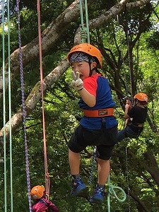 ツリーイング～木に登ろう！～ @ キャンプinn海山場内 | 北牟婁郡 | 三重県 | 日本